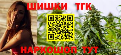 гашик Новодвинск
