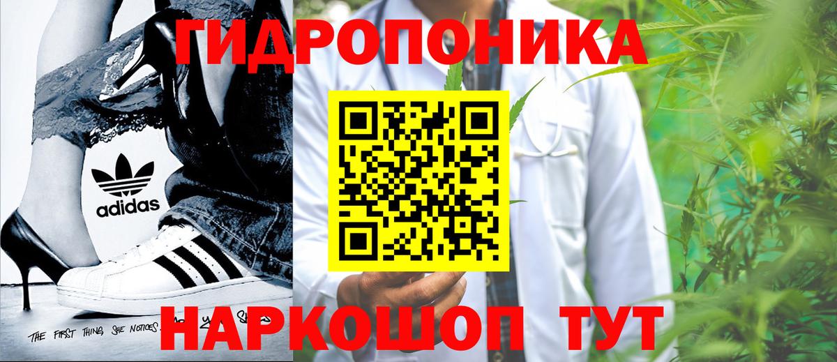 Тихорецк  Конопля White Widow  Вход с VPN  Бошки Шишки SATIVA & INDICA  Марихуана план  МАРИХУАНА Ganja 